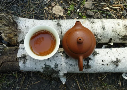 Best Cacao Ceremony in Amed